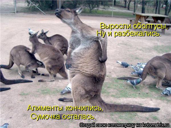 Алименты кончились, Сумочка осталась. Выросли оболтусы, Ну и разбежались.... Котоматрица: Алименты кончились, Сумочка осталась. Выросли оболтусы, Ну и разбежались.
