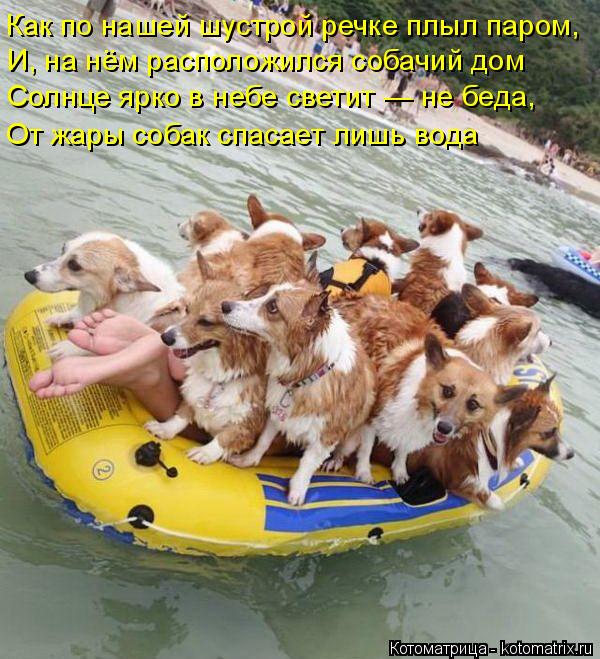 Как по нашей шустрой речке плыл паром, И, на нём расположился собачий дом Солнце ярко в небе светит —... Котоматрица: Как по нашей шустрой речке плыл паром, И, на нём расположился собачий дом Солнце ярко в небе светит — не беда, От жары собак спасает лишь вод?