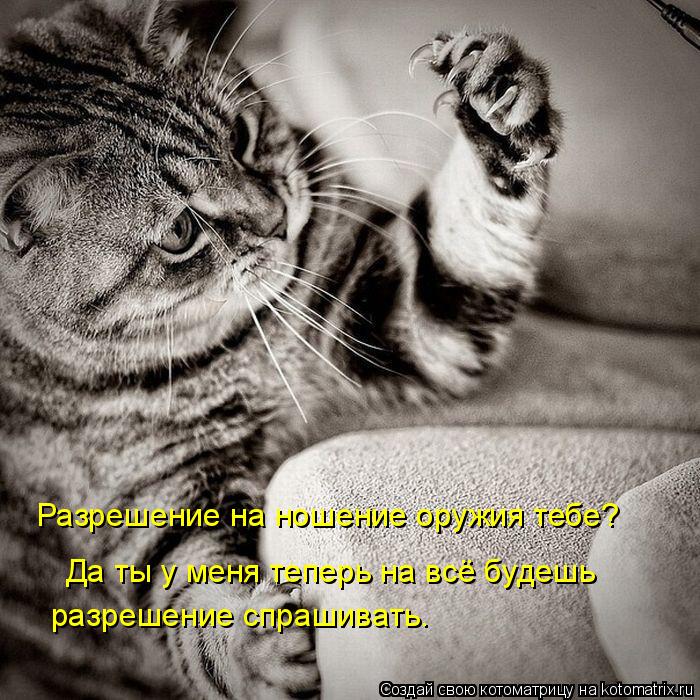 Да ты у меня теперь на всё будешь разрешение спрашивать. Разрешение на ношение оружия тебе?... Котоматрица: Да ты у меня теперь на всё будешь разрешение спрашивать. Разрешение на ношение оружия тебе?