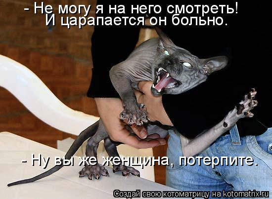 - Не могу я на него смотреть! И царапается он больно. - Ну вы же женщина, потерпите.... Котоматрица: - Не могу я на него смотреть! И царапается он больно. - Ну вы же женщина, потерпите.