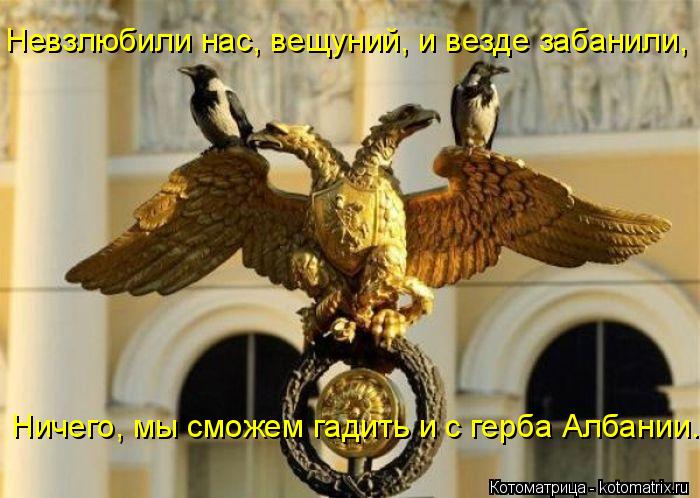 Невзлюбили нас, вещуний, и везде забанили, Ничего, мы сможем гадить и с герба Албании.... Котоматрица: Невзлюбили нас, вещуний, и везде забанили, Ничего, мы сможем гадить и с герба Албании.