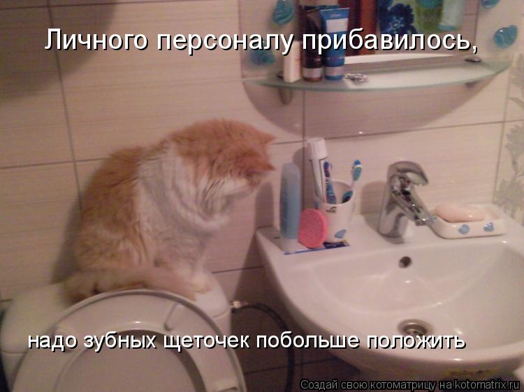 Личного персоналу прибавилось, надо зубных щеточек побольше положить... Котоматрица: Личного персоналу прибавилось, надо зубных щеточек побольше положить