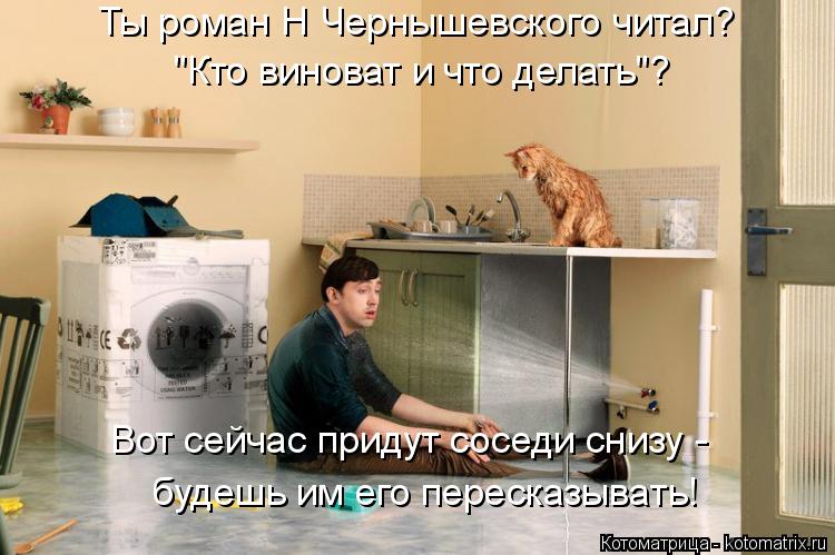 Ты роман Н Чернышевского читал? "Кто виноват и что делать"? Вот сейчас придут соседи снизу - будешь и... Котоматрица: Ты роман Н Чернышевского читал? "Кто виноват и что делать"? Вот сейчас придут соседи снизу - будешь им его пересказывать!