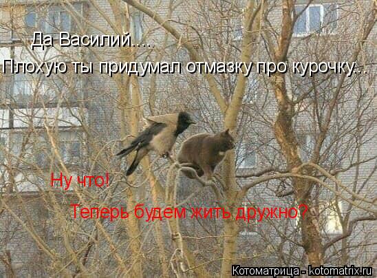 Да Василий.... Плохую ты придумал отмазку про курочку... Ну что! Теперь будем жить дружно?... Котоматрица: Да Василий.... Плохую ты придумал отмазку про курочку... Ну что! Теперь будем жить дружно?