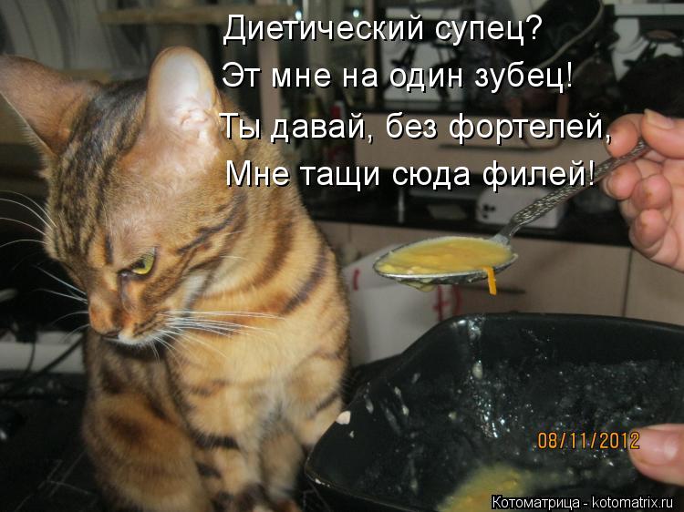 Диетический супец? Эт мне на один зубец! Ты давай, без фортелей, Мне тащи сюда филей!... Котоматрица: Диетический супец? Эт мне на один зубец! Ты давай, без фортелей, Мне тащи сюда филей!
