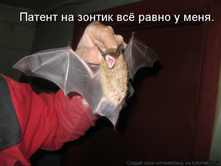 Патент на зонтик всё равно у меня.... Котоматрица: Патент на зонтик всё равно у меня.