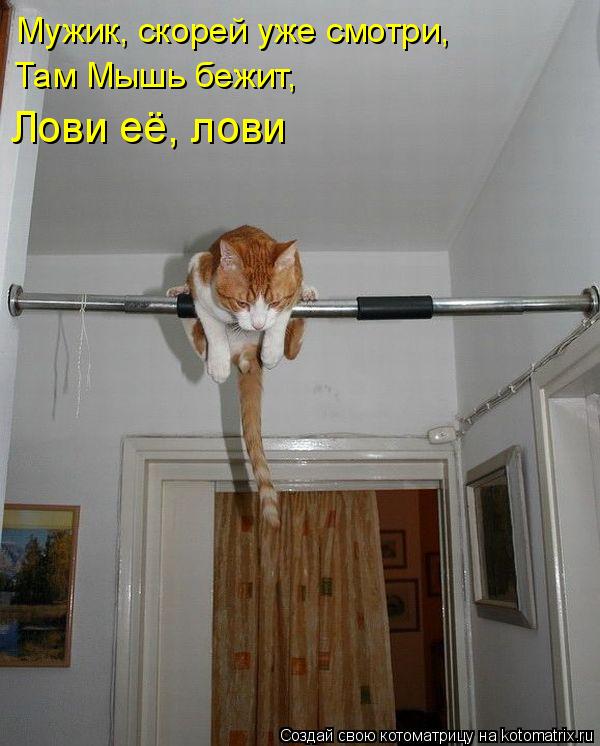 Мужик, скорей уже смотри, Там Мышь бежит, Лови её, лови... Котоматрица: Мужик, скорей уже смотри, Там Мышь бежит, Лови её, лови
