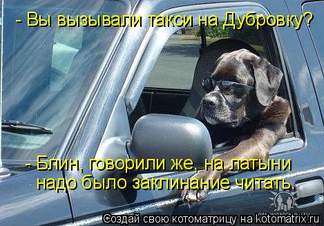 - Вы вызывали такси на Дубровку? - Блин, говорили же, на латыни надо было заклинание читать.... Котоматрица: - Вы вызывали такси на Дубровку? - Блин, говорили же, на латыни надо было заклинание читать.