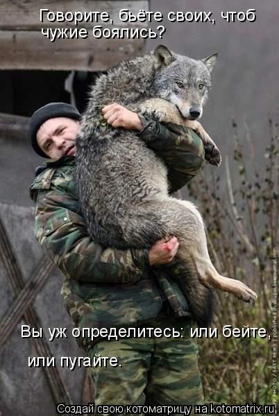 Вы уж определитесь: или бейте, или пугайте. Говорите, бьёте своих, чтоб чужие боялись?... Котоматрица: Вы уж определитесь: или бейте, или пугайте. Говорите, бьёте своих, чтоб чужие боялись?