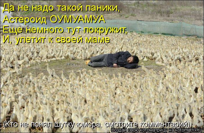 Да не надо такой паники, Астероид ОУМУАМУА Еще немного тут покружит, И, улетит к своей маме (Кто не... Котоматрица: Да не надо такой паники, Астероид ОУМУАМУА Еще немного тут покружит, И, улетит к своей маме (Кто не понял шутку юмора, смотрите комментарий)