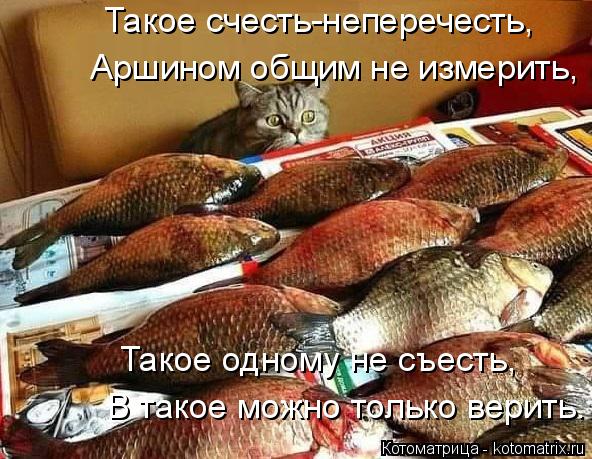 В такое можно только верить. Такое одному не съесть, Аршином общим не измерить, Такое счесть-неперече... Котоматрица: В такое можно только верить. Такое одному не съесть, Аршином общим не измерить, Такое счесть-неперечесть,