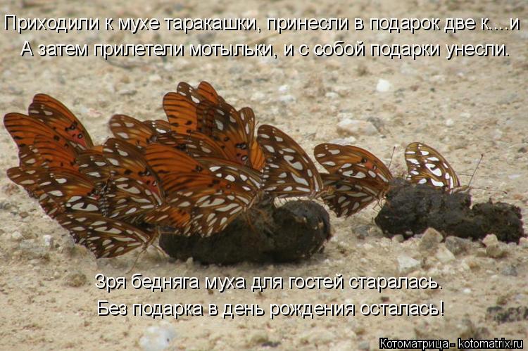Приходили к мухе таракашки, принесли в подарок две к....и А затем прилетели мотыльки, и с собой подар... Котоматрица: Приходили к мухе таракашки, принесли в подарок две к....и А затем прилетели мотыльки, и с собой подарки унесли. Без подарка в день рождения ос?