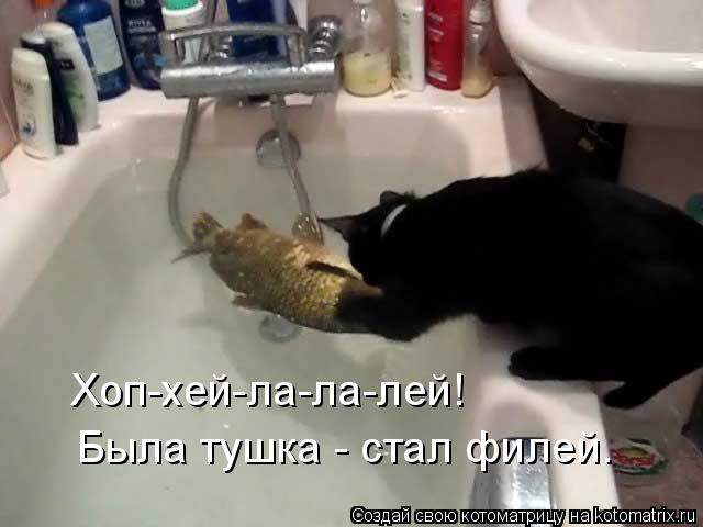 Хоп-хей-ла-ла-лей! Была тушка - стал филей.... Котоматрица: Хоп-хей-ла-ла-лей! Была тушка - стал филей.