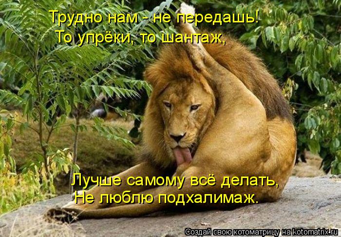 Трудно нам - не передашь! То упрёки, то шантаж, Лучше самому всё делать, Не люблю подхалимаж.... Котоматрица: Трудно нам - не передашь! То упрёки, то шантаж, Лучше самому всё делать, Не люблю подхалимаж.