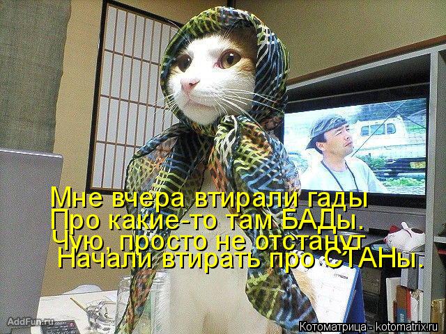 Мне вчера втирали гады Про какие-то там БАДы. Чую, просто не отстанут, Начали втирать про СТАНы.... Котоматрица: Мне вчера втирали гады Про какие-то там БАДы. Чую, просто не отстанут, Начали втирать про СТАНы.