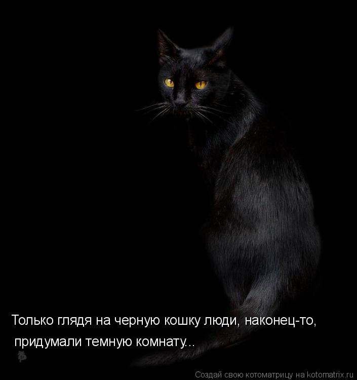 Только глядя на черную кошку люди, наконец-то, придумали темную комнату...... Котоматрица: Только глядя на черную кошку люди, наконец-то, придумали темную комнату...