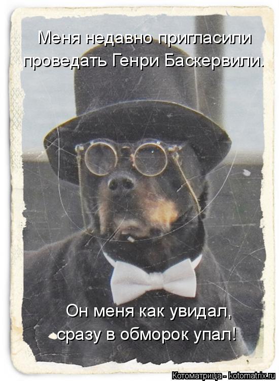 Он меня как увидал, сразу в обморок упал! Меня недавно пригласили проведать Генри Баскервили.... Котоматрица: Он меня как увидал, сразу в обморок упал! Меня недавно пригласили проведать Генри Баскервили.
