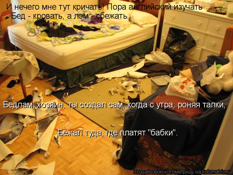 И нечего мне тут кричать! Пора английский изучать Бед - кровать, а лэм - сбежать. Бедлам, хозяин, ты... Котоматрица: И нечего мне тут кричать! Пора английский изучать Бед - кровать, а лэм - сбежать. Бедлам, хозяин, ты создал сам, когда с утра, роняя тапки, Бежа