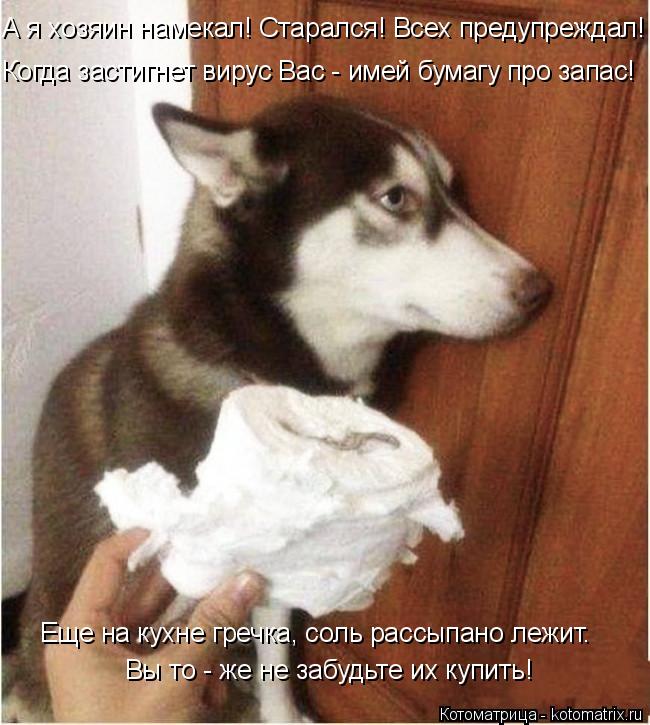 Когда застигнет вирус Вас - имей бумагу про запас! А я хозяин намекал! Старался! Всех предупреждал! В... Котоматрица: Когда застигнет вирус Вас - имей бумагу про запас! А я хозяин намекал! Старался! Всех предупреждал! Вы то - же не забудьте их купить! Еще на кух
