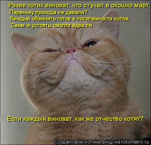 Разве котик виноват, что стучал в окошко март, Пареньку прохода не давали? Каждый обвинить готов в по... Котоматрица: Разве котик виноват, что стучал в окошко март, Пареньку прохода не давали? Каждый обвинить готов в полигамности котов, Сами ж устоять смогли