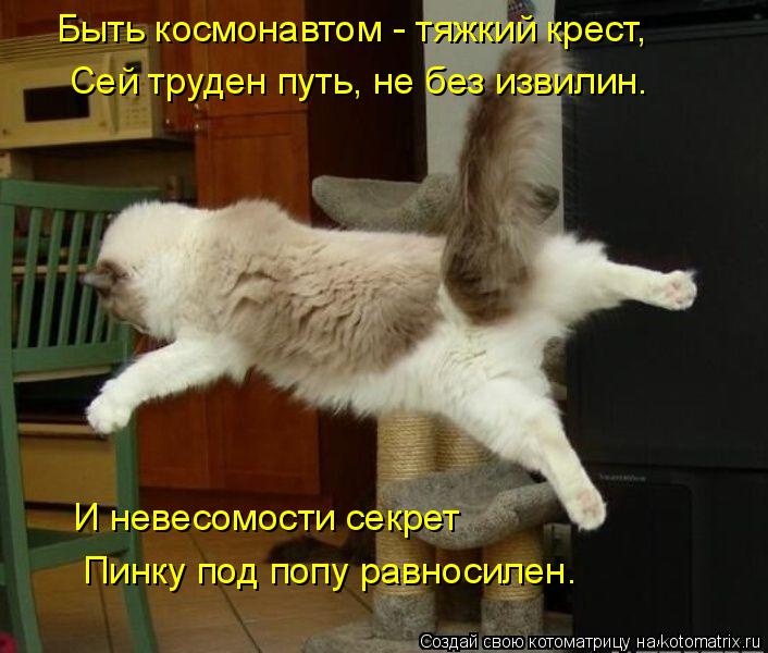 Быть космонавтом - тяжкий крест, И невесомости секрет Пинку под попу равносилен. Сей труден путь, не ... Котоматрица: Быть космонавтом - тяжкий крест, И невесомости секрет Пинку под попу равносилен. Сей труден путь, не без извилин.