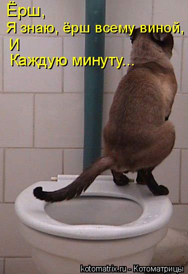 Я знаю, ёрш всему виной, Ёрш, И Каждую минуту...... Котоматрица: Я знаю, ёрш всему виной, Ёрш, И Каждую минуту...