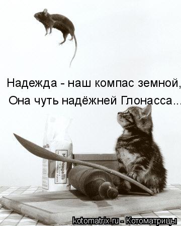 Надежда - наш компас земной, Она чуть надёжней Глонасса...... Котоматрица: Надежда - наш компас земной, Она чуть надёжней Глонасса...
