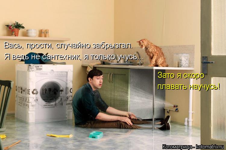 Вась, прости, случайно забрызгал. Я ведь не сантехник, я только учусь... Зато я скоро плавать научус... Котоматрица: Вась, прости, случайно забрызгал. Я ведь не сантехник, я только учусь... Зато я скоро плавать научусь!