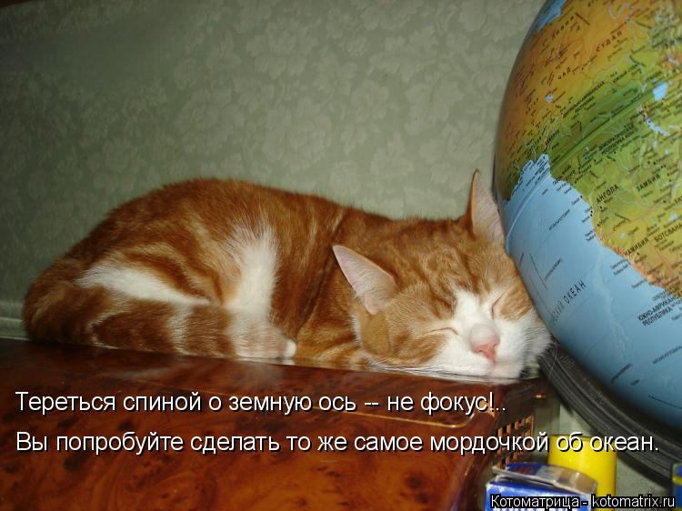 Тереться спиной о земную ось -- не фокус!.. Вы попробуйте сделать то же самое мордочкой об океан.... Котоматрица: Тереться спиной о земную ось -- не фокус!.. Вы попробуйте сделать то же самое мордочкой об океан.