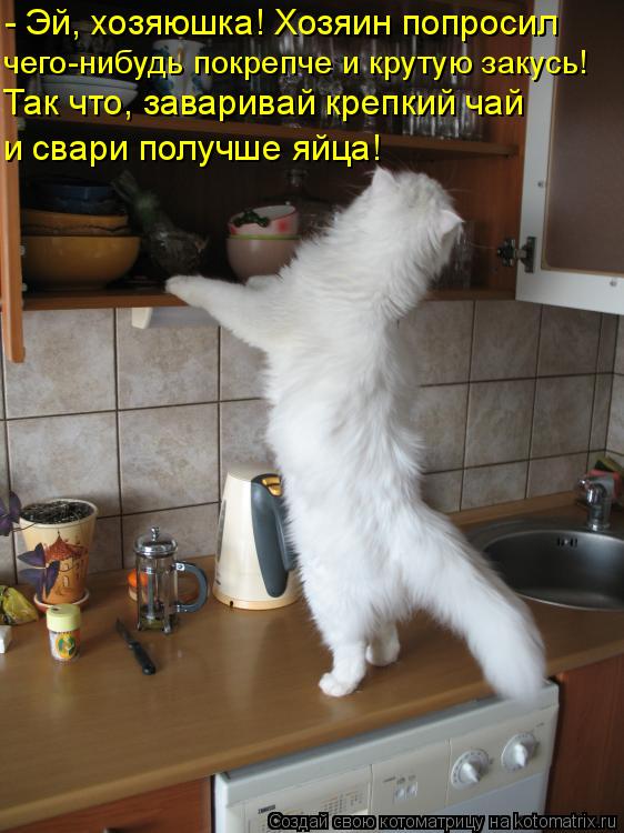 - Эй, хозяюшка! Хозяин попросил чего-нибудь покрепче и крутую закусь! Так что, заваривай крепкий ча... Котоматрица: - Эй, хозяюшка! Хозяин попросил чего-нибудь покрепче и крутую закусь! Так что, заваривай крепкий чай и свари получше яйца!