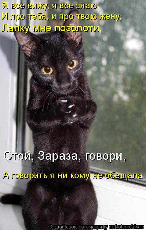 А говорить я ни кому не обещала Я все вижу, я все знаю, И про тебя, и про твою жену, Лапку мне позоло... Котоматрица: А говорить я ни кому не обещала Я все вижу, я все знаю, И про тебя, и про твою жену, Лапку мне позолоти, Стой, Зараза, говори,