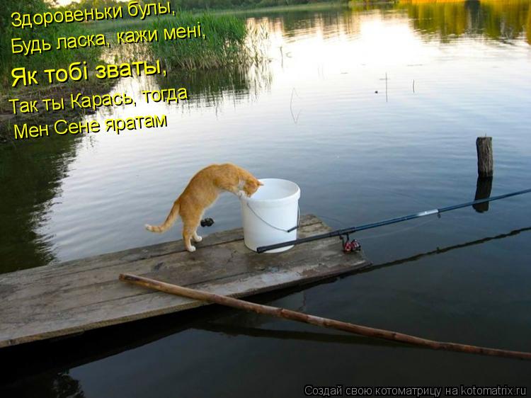 Здоровеньки булы, Будь ласка, кажи менi, Як тобi зваты, Мен Сене яратам Так ты Карась, тогда... Котоматрица: Здоровеньки булы, Будь ласка, кажи менi, Як тобi зваты, Мен Сене яратам Так ты Карась, тогда