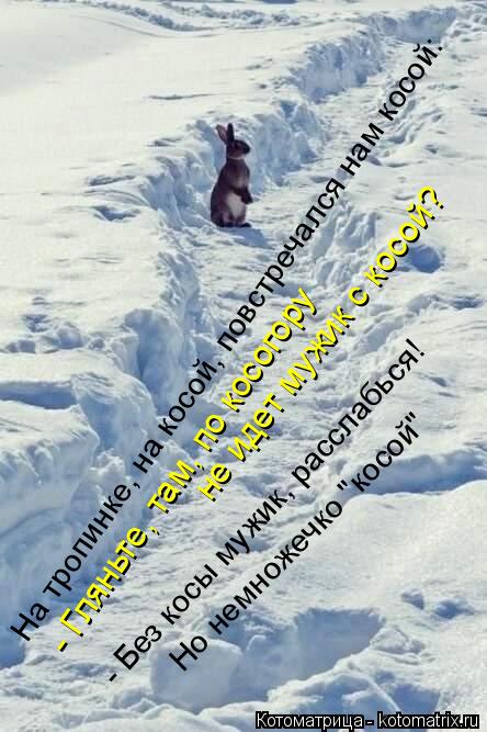На тропинке, на косой, повстречался нам косой: - Гляньте, там, по косогору Но немножечко "косой" - Бе... Котоматрица: На тропинке, на косой, повстречался нам косой: - Гляньте, там, по косогору Но немножечко "косой" - Без косы мужик, расслабься! не идет мужик с ко