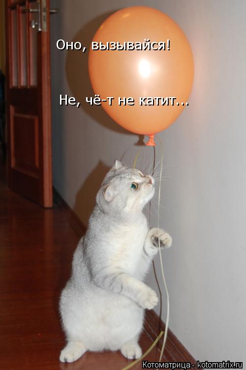 Оно, вызывайся! Не, чё-т не катит...... Котоматрица: Оно, вызывайся! Не, чё-т не катит...
