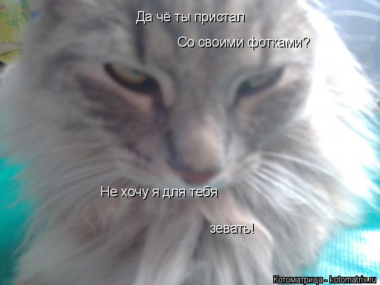 Да чё вы прстал Да чё ты пристал Со своими фотками? Не хочу я для тебя зевать!... Котоматрица: Да чё вы прстал Да чё ты пристал Со своими фотками? Не хочу я для тебя зевать!