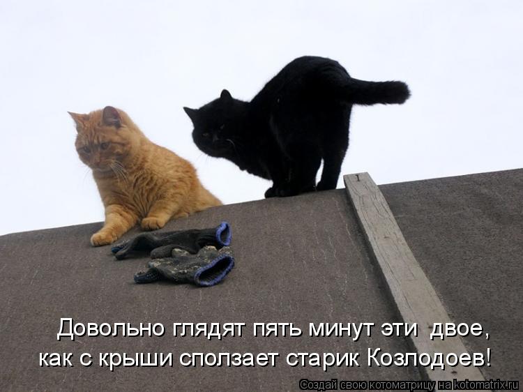 Котоматрица: Довольно глядят пять минут эти  двое, как с крыши сползает старик Козлодоев!