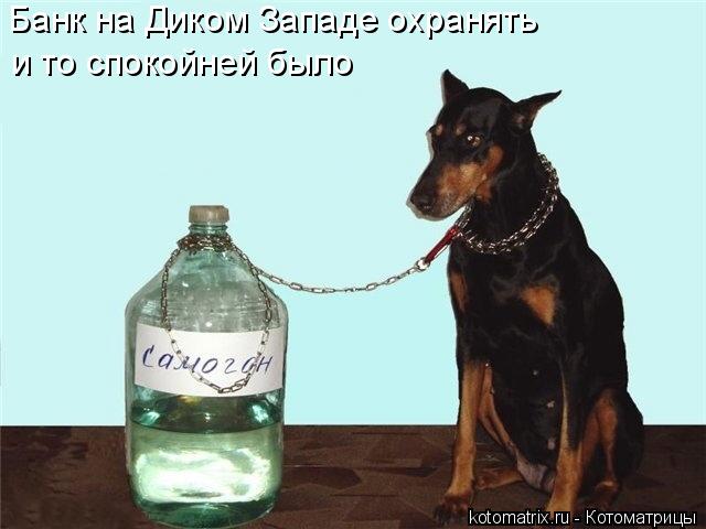Банк на Диком Западе охранять и то спокойней было... Котоматрица: Банк на Диком Западе охранять и то спокойней было