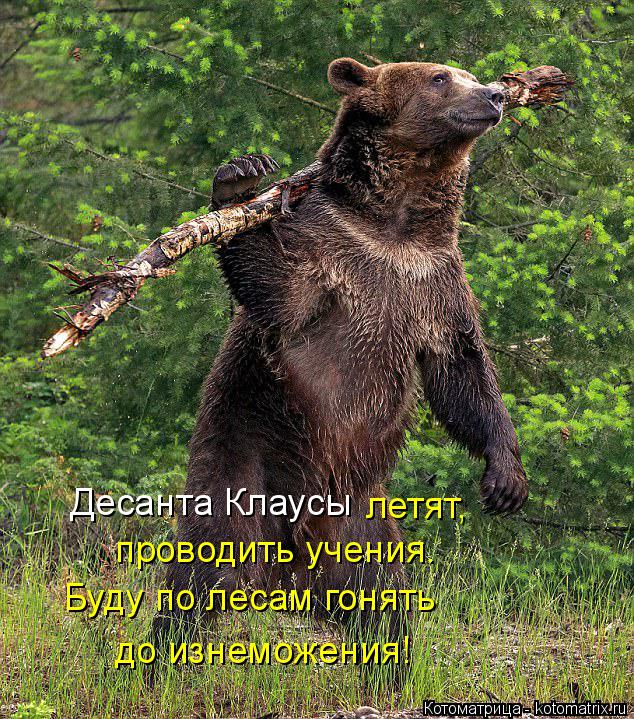 Десанта Клаусы летят, проводить учения. Буду по лесам гонять до изнеможения!... Котоматрица: Десанта Клаусы летят, проводить учения. Буду по лесам гонять до изнеможения!