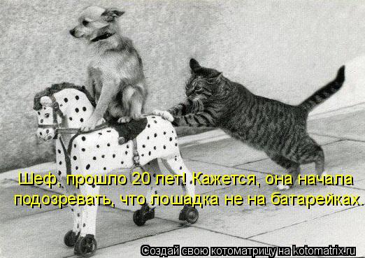 Шеф, прошло 20 лет! Кажется, она начала подозревать, что лошадка не на батарейках.... Котоматрица: Шеф, прошло 20 лет! Кажется, она начала подозревать, что лошадка не на батарейках.