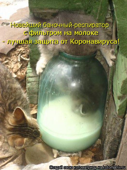 Новейший баночный-респиратор с фильтром на молоке - лучшая защита от Коронавируса!... Котоматрица: Новейший баночный-респиратор с фильтром на молоке - лучшая защита от Коронавируса!