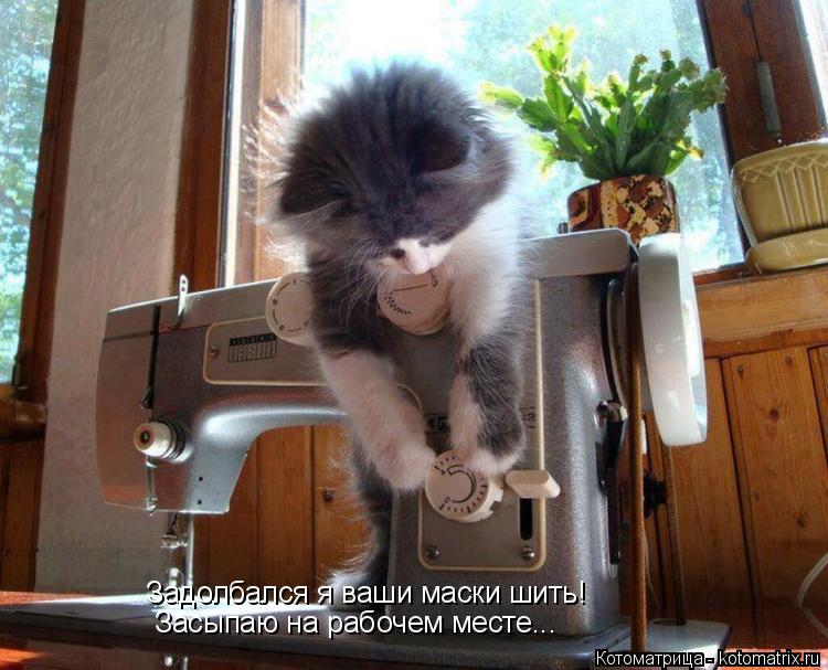 Задолбался я ваши маски шить! Засыпаю на рабочем месте...... Котоматрица: Задолбался я ваши маски шить! Засыпаю на рабочем месте...
