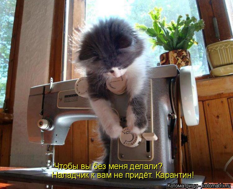 Чтобы вы без меня делали? Наладчик к вам не придёт. Карантин!... Котоматрица: Чтобы вы без меня делали? Наладчик к вам не придёт. Карантин!