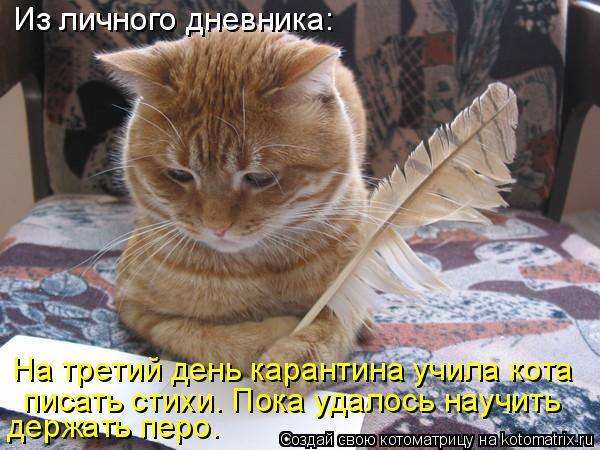 Из личного дневника: На третий день карантина учила кота писать стихи. Пока удалось научить держать ... Котоматрица: Из личного дневника: На третий день карантина учила кота писать стихи. Пока удалось научить держать перо.