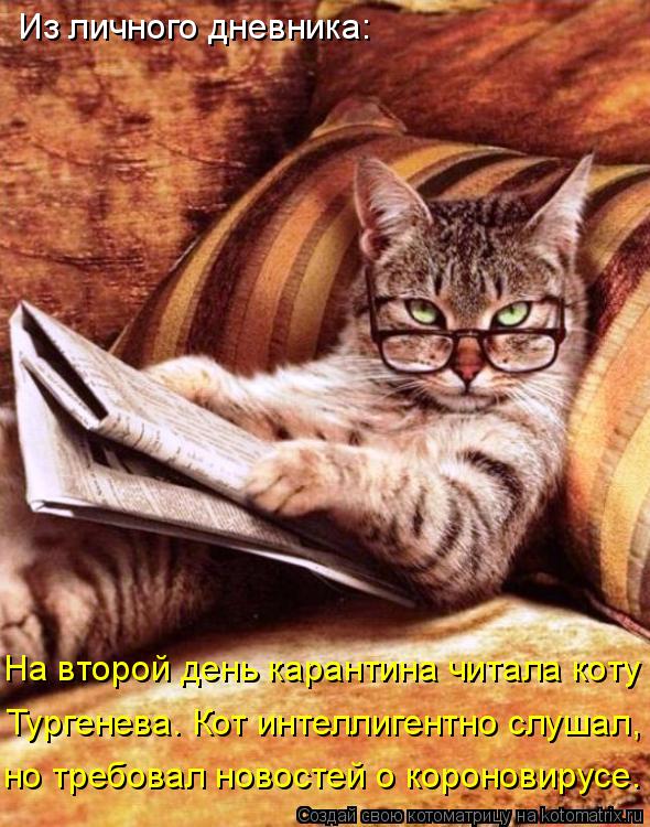 Из личного дневника: На второй день карантина читала коту Тургенева. Кот интеллигентно слушал, но тр... Котоматрица: Из личного дневника: На второй день карантина читала коту Тургенева. Кот интеллигентно слушал, но требовал новостей о короновирусе.