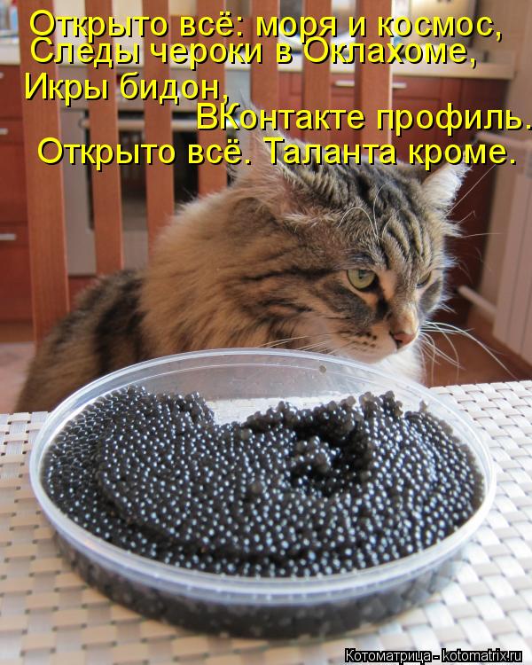Следы чероки в Оклахоме, Открыто всё: моря и космос, Икры бидон, ВКонтакте профиль... Открыто всё. Та... Котоматрица: Следы чероки в Оклахоме, Открыто всё: моря и космос, Икры бидон, ВКонтакте профиль... Открыто всё. Таланта кроме.