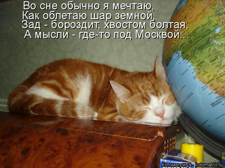 Зад - бороздит, хвостом болтая, А мысли - где-то под Москвой... Как облетаю шар земной, Во сне обычно... Котоматрица: Зад - бороздит, хвостом болтая, А мысли - где-то под Москвой... Как облетаю шар земной, Во сне обычно я мечтаю,