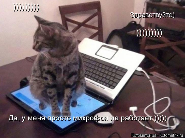Здравствуйте) Здравствуйте) Да, у меня просто микрофон не работает ))))) ))))))))) )))))))))... Котоматрица: Здравствуйте) Здравствуйте) Да, у меня просто микрофон не работает ))))) ))))))))) )))))))))