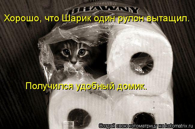 Хорошо, что Шарик один рулон вытащил. Получился удобный домик.... Котоматрица: Хорошо, что Шарик один рулон вытащил. Получился удобный домик.