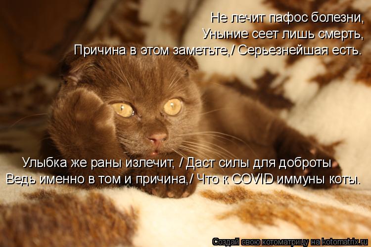 Не лечит пафос болезни, Уныние сеет лишь смерть, Улыбка же раны излечит, / Даст силы для доброты Ведь... Котоматрица: Не лечит пафос болезни, Уныние сеет лишь смерть, Улыбка же раны излечит, / Даст силы для доброты Ведь именно в том и причина,/ Что к COVID иммуны ?