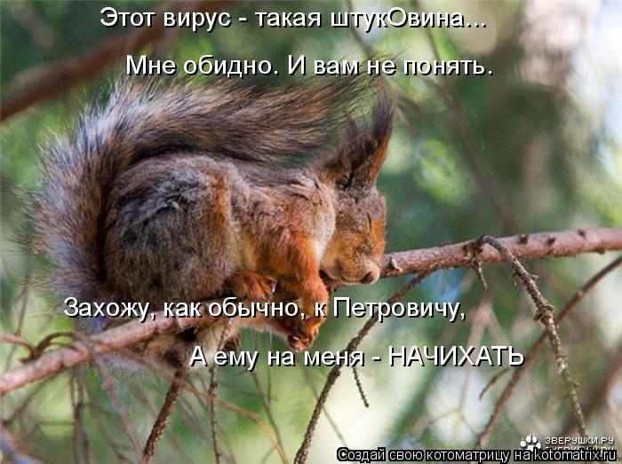 Этот вирус - такая штукOвина... Мне обидно. И вам не понять. Захожу, как обычно, к Петровичу, А ему н... Котоматрица: Этот вирус - такая штукOвина... Мне обидно. И вам не понять. Захожу, как обычно, к Петровичу, А ему на меня - НАЧИХАТЬ